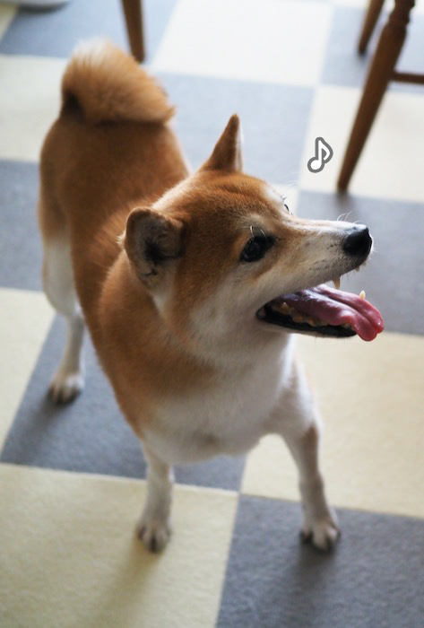 12日ブログ３