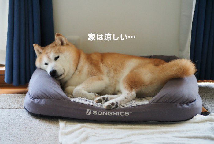 17日ブログ２