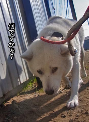 26日ブログ6.jpg