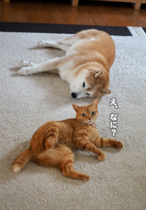 31日ブログ1