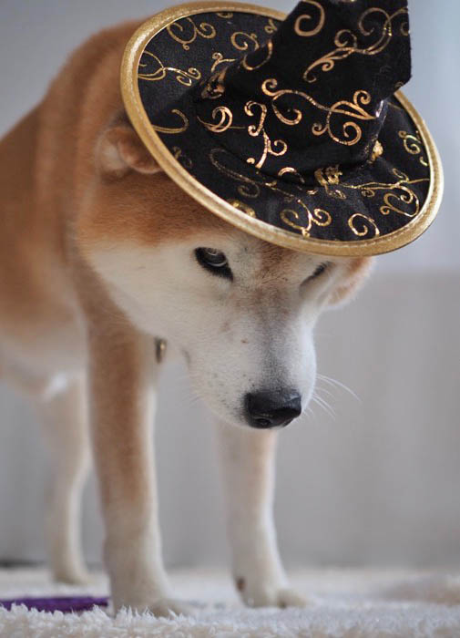 31日夜ブログ３