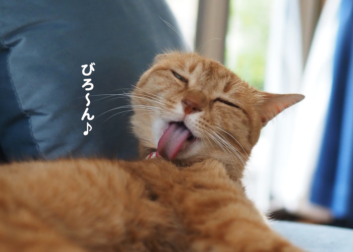 28日夕ブログ１０