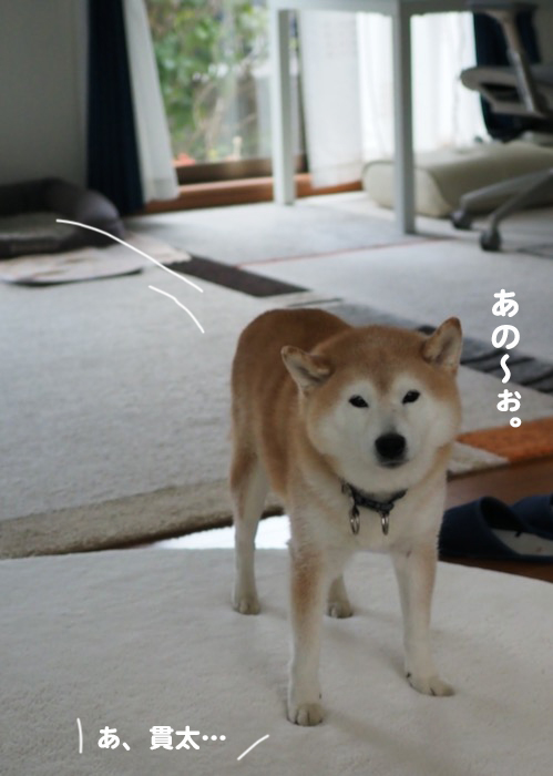 31日ブログ１０