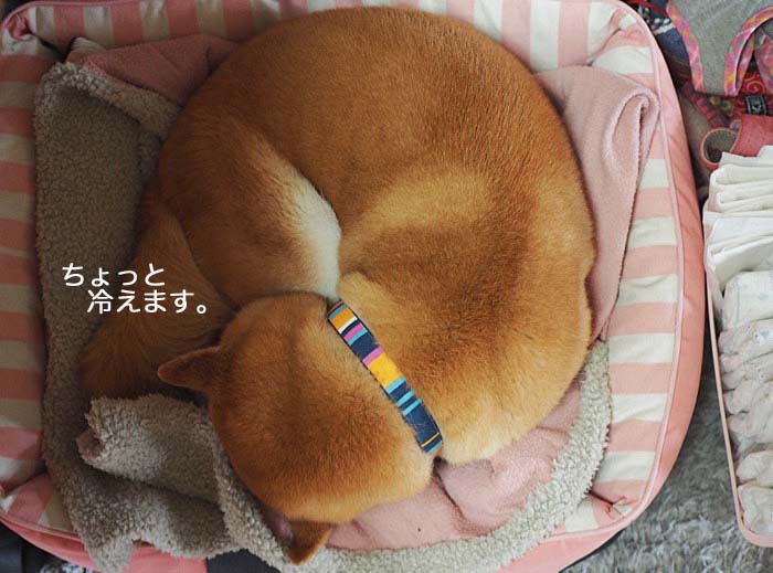 23日午後ブログ１