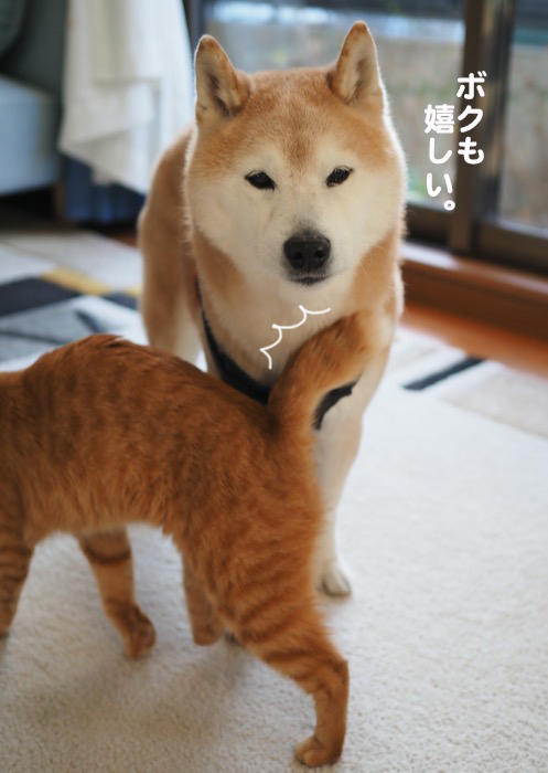 12日夕ブログ７