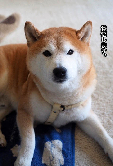 5日ブログ８