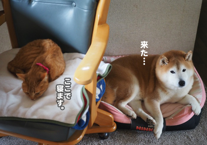 18日夕ブログ2