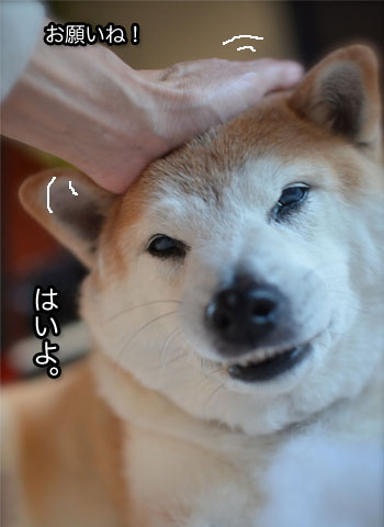 7日ブログ12.jpg