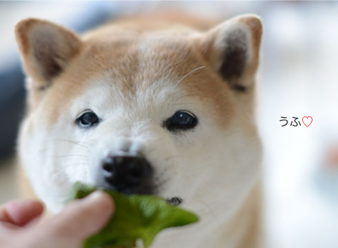 21日ブログ3.jpg