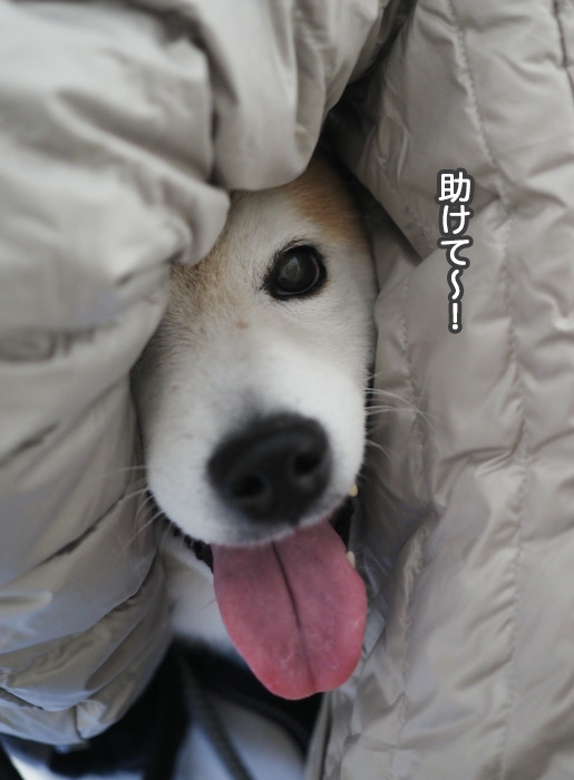 11日夜ブログ５