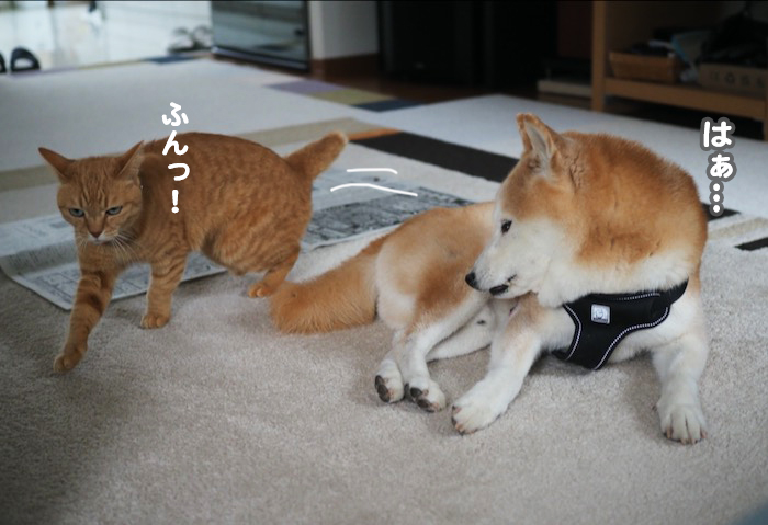 22日夜ブログ５