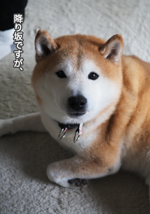 19日ブログ３