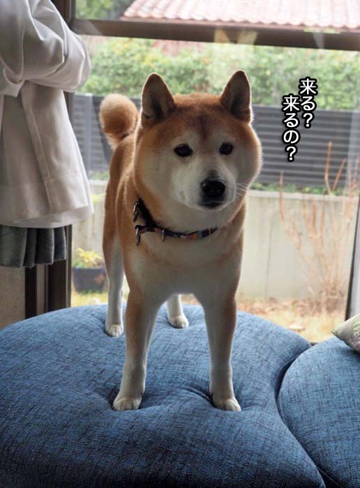 26日夜ブログ５