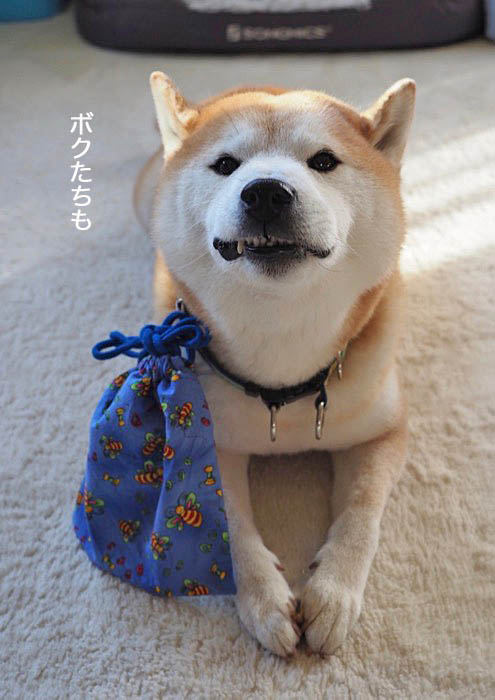 8日午後ブログ１