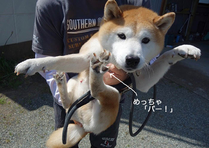 27日ブログ2