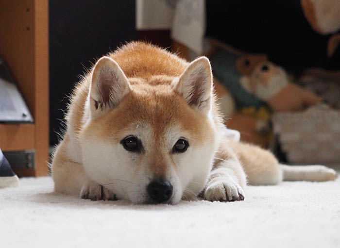 15日夜ブログ２