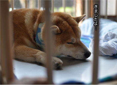 26日ブログ10.jpg