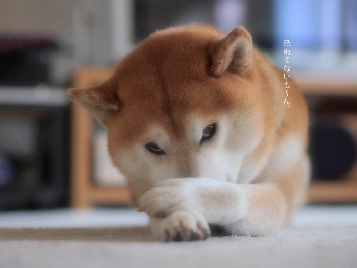 12日ブログ7