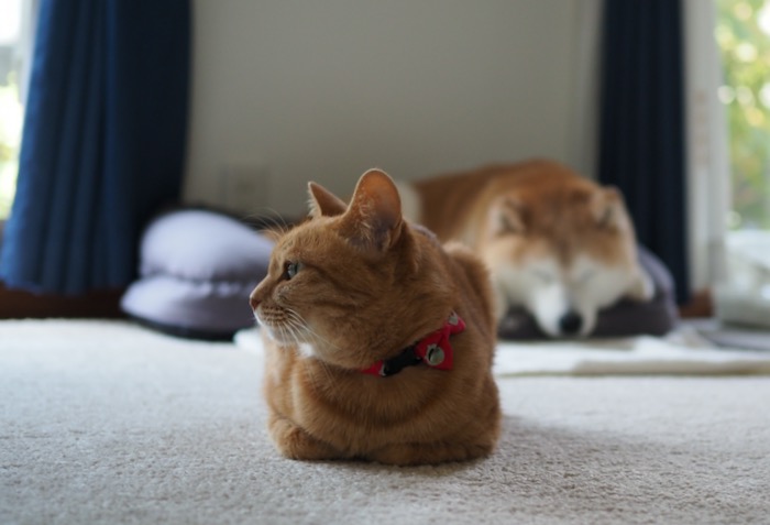 29日ブログ１