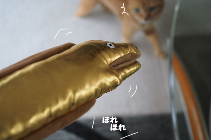 23日夕ブログ３