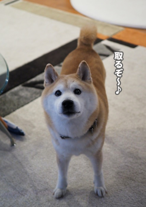 5日夕ブログ２
