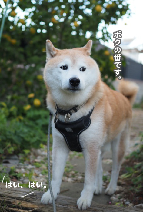 2日夕ブログ５