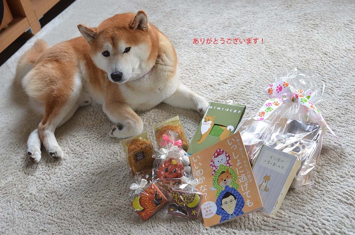 23日ブログ3