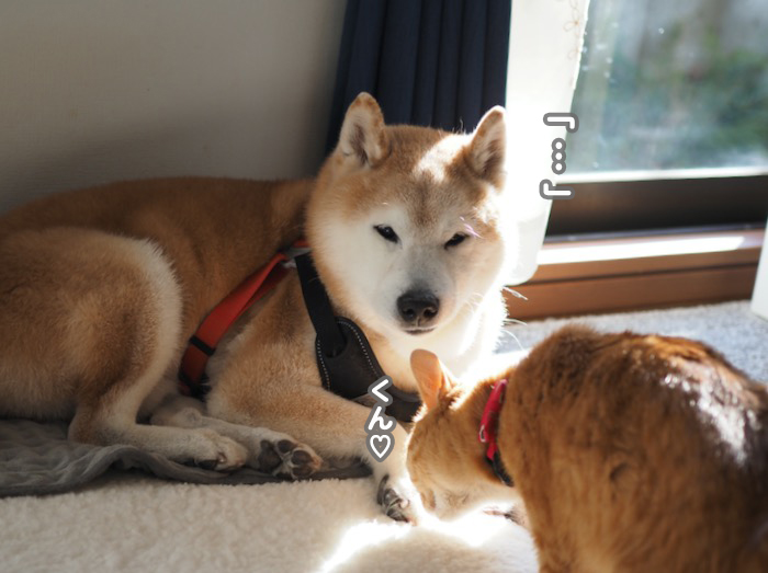 10日夕ブログ２