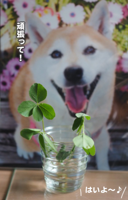14日ブログ５