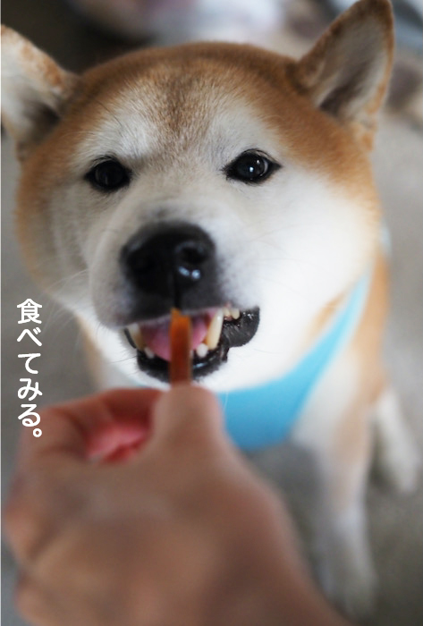 15日夕ブログ４
