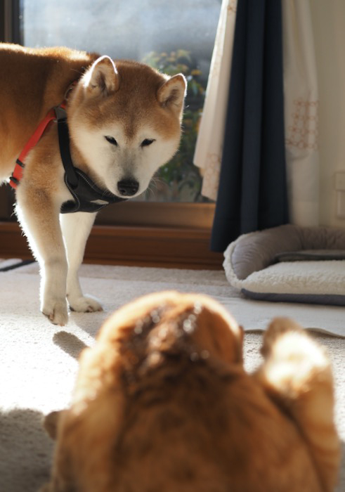 16日のブログ２