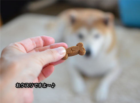 31日ブログ5.jpg