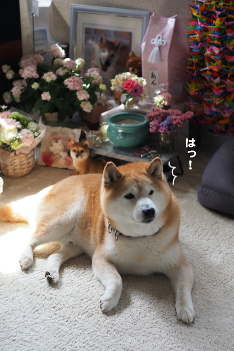 11日夕ブログ２