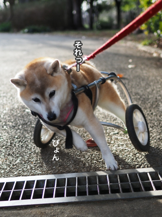 21日夜ブログ９