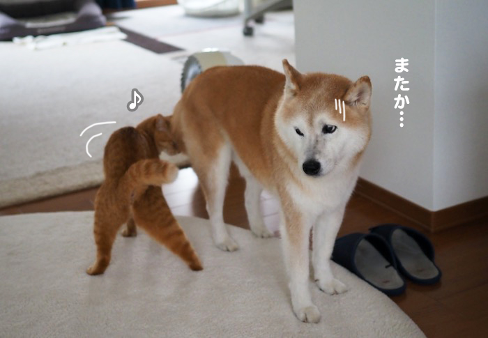 15日夕ブログ２