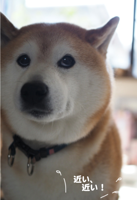 19日夜ブログ4