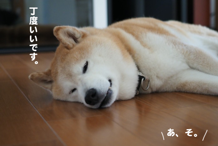 25日ブログ３