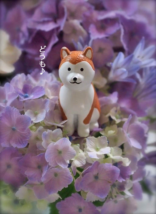 8日夜ブログ４