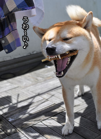 18日ブログ13.jpg