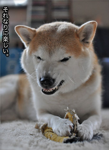 14日ブログ3.jpg