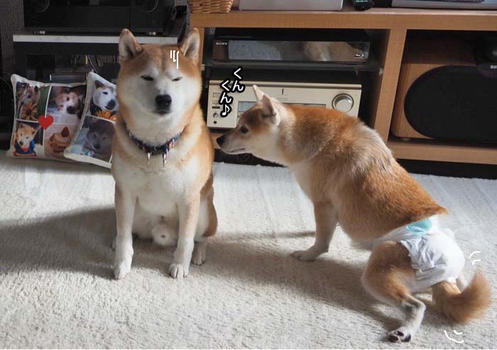 11日ブログ３