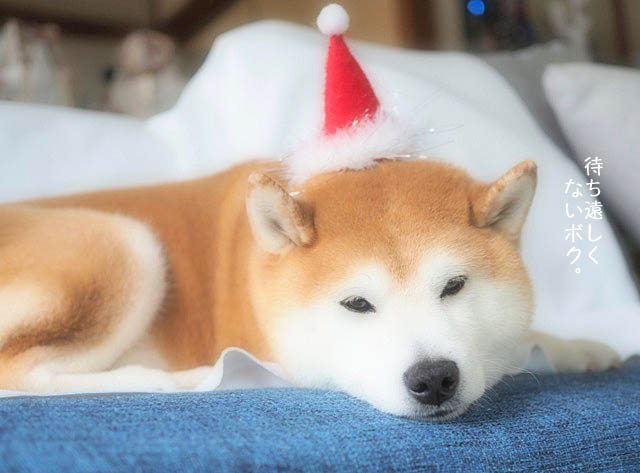 11日ブログ7