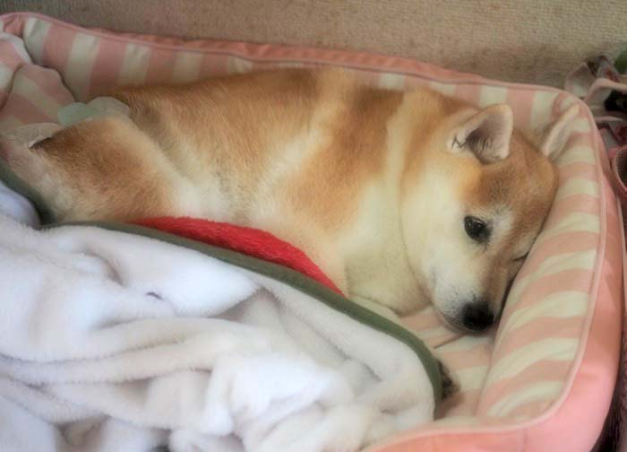 17日ブログ２