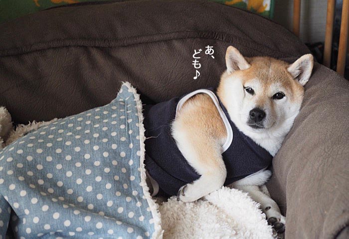 14日ブログ３