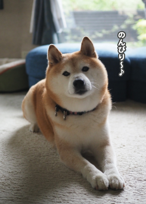 18日ブログ１