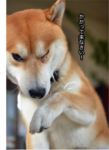 28日ブログ11.jpg