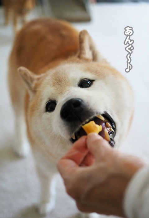 6日ブログ５