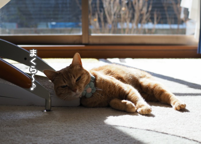 10日夕ブログ２