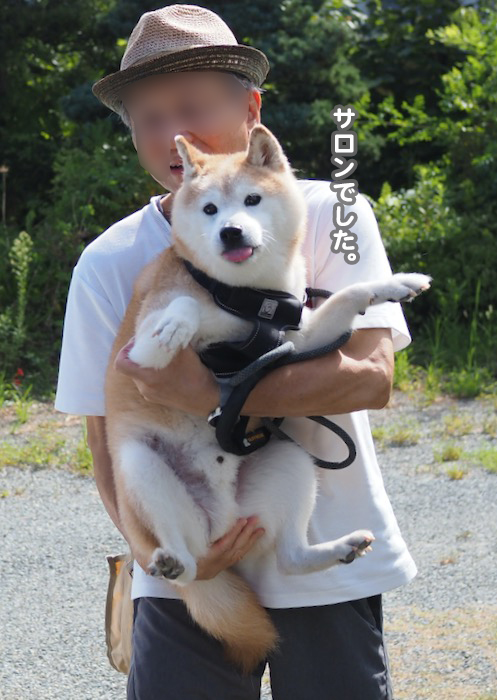 11日夕ブログ６