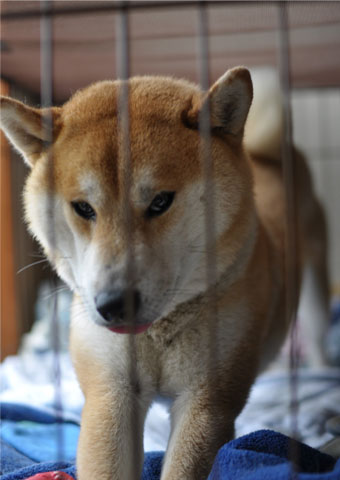 22日ブログ10.jpg